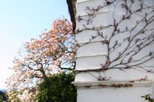 Mehr über den Artikel erfahren Immobiliengutachter Baiersbronn