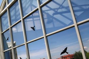 Mehr über den Artikel erfahren Immobiliengutachter Rheinfelden