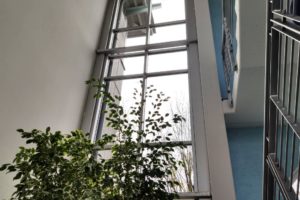 Mehr über den Artikel erfahren Immobiliengutachter Herbolzheim