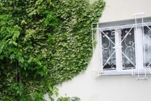 Mehr über den Artikel erfahren Immobiliengutachter Kenzingen