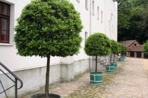 Mehr über den Artikel erfahren Immobiliengutachter Hechingen